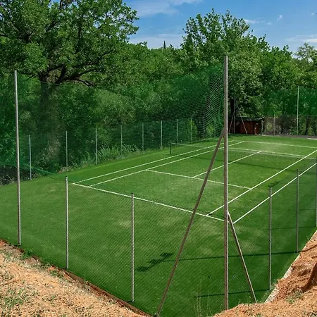 37 雷吉纳罗苏阿诺